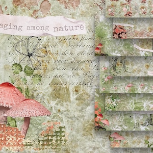 May include: A collage of vintage-style paper with a green and brown background. The paper has a distressed look and features a variety of images, including mushrooms, flowers, and butterflies. The text "foraging among nature" is written on a pink paper strip at the top of the image.