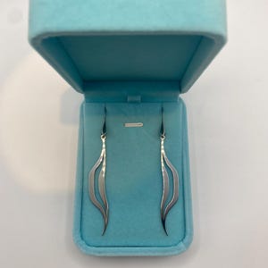 Creativity - Haida Luv Lineguage - Sterling Silver Earrings