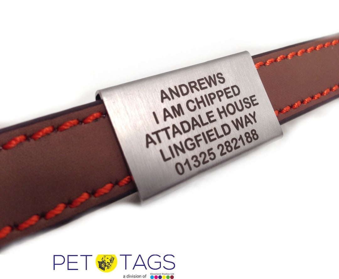 Stainless Steel Agility Collar Tags Etsy UK