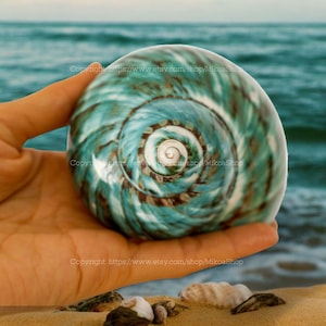 May include: A large, spiraled seashell with a blue, green, and brown pattern. The shell is held in a hand against a blurred background of ocean waves and sand.