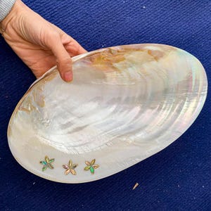 Perlmutt-Muschelschale, dekorative riesige Muschelschale mit Blumen-Küsten-Catchall-Muschelschale, Süßigkeiten-Sammelschale, Heimdekoration