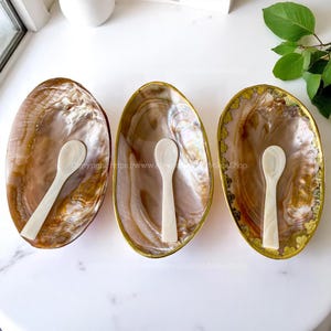 Peut inclure: Trois plats décoratifs en forme de coquillage avec une finition nacrée, chacun contenant une petite cuillère blanche. Les plats ont une bordure dorée. Les coquillages sont bruns et beiges avec des reflets irisés.