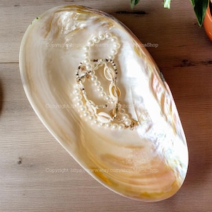 Perlmutt Muschelschale, Dekorative Riesenmuschelschale Einfache Muschel Original Muschelschale Süßigkeiten Sammlerschale Wohndekor