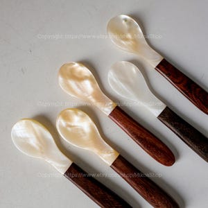 Peut inclure: Six cuillères en nacre avec des manches en bois foncé. Les cuillères ont un éclat nacré et irisé. Les manches sont d'une riche couleur brun foncé. Les cuillères sont disposées en diagonale sur une surface gris clair.