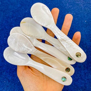 Könnte beinhalten: Eine Sammlung von sechs weißen Perlmuttlöffeln. Jeder Löffel hat einen perlmuttartigen Glanz und eine abgerundete Schale. Die Griffe sind glatt und enden mit einer dekorativen Abalone-Einlage. Die Löffel werden in einer Hand vor blauem Hintergrund gehalten.