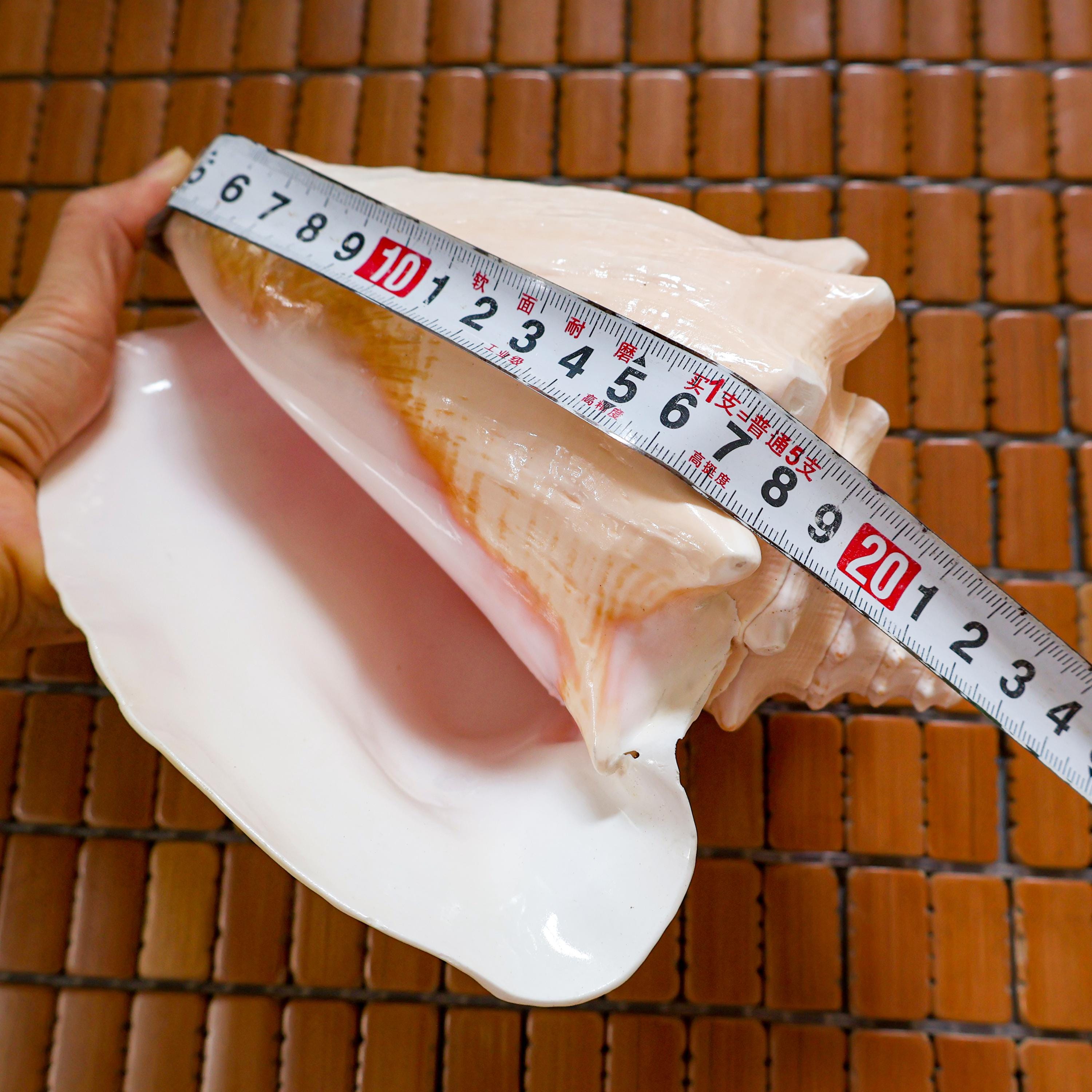 il_fullxfull.7328975531_4x22.jpg