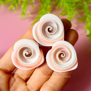 May include: Three heart-shaped seashells with a spiral pattern in shades of pink and white.