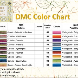 DMC Farbkarte + Floss Inventur Tracker (digitales PDF)