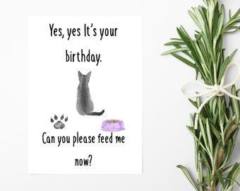 Birthday Card From The Cat - Cat Mum Card - Cat Dad Card - Card From The Cat - Yes Yes Its Your Birthday, Can You Please Feed Me Now - Funny