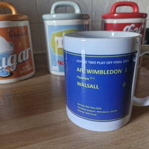 Taza ganadora del play-off de Wimbledon 2025 de la AFC