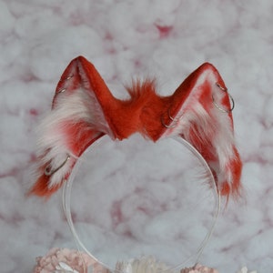 Rote Wolfsohren