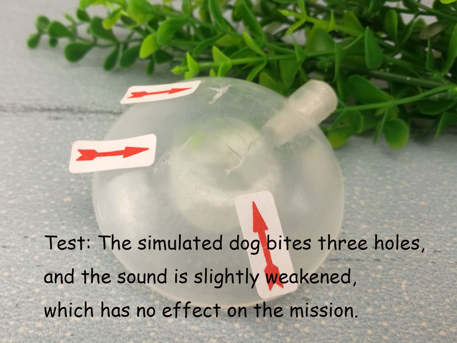 10 Large Squeakers Flat Squeaker2.3 Inch Squeakers dog Etsy UK