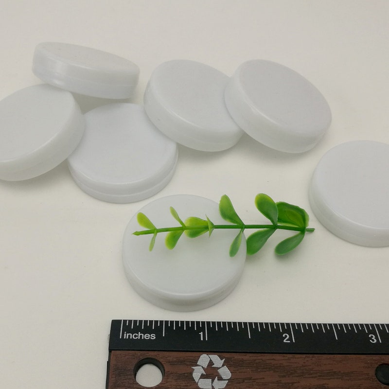 Toy Noise Insert - Etsy