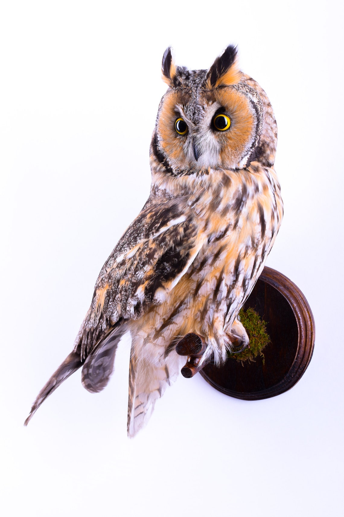 spidey and his amazing friends plush toys