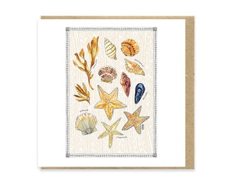 Sea Shells Greeting Card, Under The Sea Greeting Greeting Card, Seaweed Greeting Card, Illustrated Greeting Card