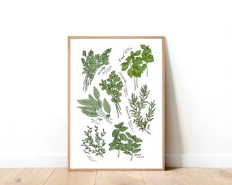 Kitchen Herbs. Homegrown Kitchen Herbs. Herb Art Print. Thyme. Basil. Coriander. Parsley. Sage