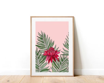 Torch Ginger Giclée Art Print . Botanical Art Print . Floral Art Print . Botanical Illustration . A4 and A3 Art Print . Pink . Hawaiian