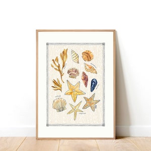 Under The Sea Art Print. Sea Life Art Print. Seashells. Starfish. Mussels. Scallops. Seashells Art Print. image 1