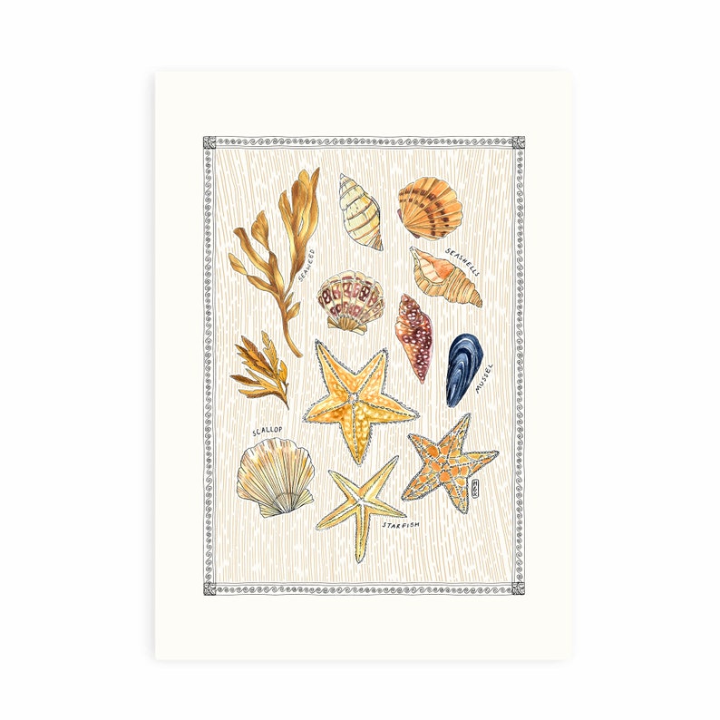 Under The Sea Art Print. Sea Life Art Print. Seashells. Starfish. Mussels. Scallops. Seashells Art Print. image 2