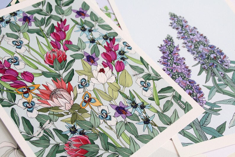 Echium Art Print . Botanical Art Print . Floral Art Print . Botanical Illustration . A4 and A3 Art Print . Californian Flora image 4