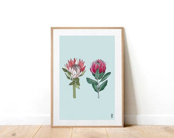 Protea Twins Art Print . Botanical Art Print . Floral Art Print . Botanical Illustration . A4 and A3 Art Print . Australian Floral Print.