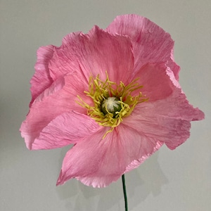 Handmade Crepe Paper Poppy: Watercolor Floral Arrangement