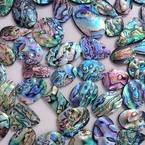 Sensacional concha de abulón Paua, forma variada, cabujón liso, lote de piedras preciosas sueltas, piedra perfecta para envolver con alambre, cabujón de concha de abulón Paua