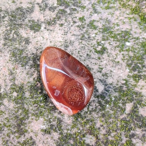 Cabochon di pietra preziosa naturale rara di agata di fuoco messicana a forma libera - 12,50 carati - Dimensioni 17x 11 mm - Ideale per la creazione di gioielli - Agata di fuoco di prima qualità