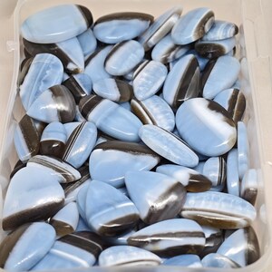 May include: A collection of polished, smooth, oval and teardrop-shaped blue and dark brown banded stones contained within a clear plastic rectangular storage box. Each stone features a distinct color transition between the light blue and dark brown.