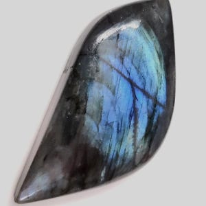 139.40 Cts. Natural Blue Fire Labradorite Sparrow Shape Cabochon 60x29x10 MM Loose Gemstone For Jewelry Making