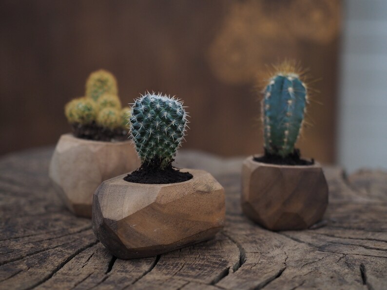 Miniature Flower Pot Planter for Succulent Cacti in Trendy Etsy
