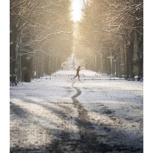 Peut inclure: Une page de calendrier mural pour f&eacute;vrier pr&eacute;sentant une photographie d'une personne courant sur un chemin enneig&eacute; bord&eacute; de grands arbres d&eacute;nud&eacute;s. La sc&egrave;ne est &eacute;clair&eacute;e par une lumi&egrave;re dor&eacute;e vive filtrant &agrave; travers les branches. Grille en bas.