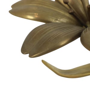 Op de afbeelding: Een koperen bloemsculptuur met meerdere gladde, langwerpige bloemblaadjes met een metallic gouden afwerking. Het midden van de bloem toont dunne, draadachtige meeldraden bekroond met kleine, afgeronde koperen bolletjes in een botanische vorm.
