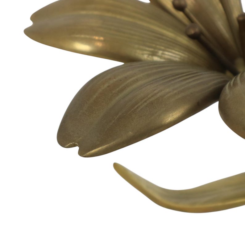 Op de afbeelding: Een koperen bloemsculptuur met meerdere gladde, langwerpige bloemblaadjes met een metallic gouden afwerking. Het midden van de bloem toont dunne, draadachtige meeldraden bekroond met kleine, afgeronde koperen bolletjes in een botanische vorm.