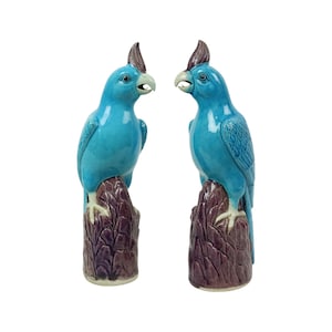 Koppel Turquoise Geglazuurde Papegaaien Chinees porselein 30 cm