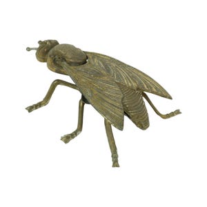 May include: A detailed brass fly figurine with textured wings and legs. The insect sculpture is in a standing position, showcasing its intricate design and metallic finish. The fly has a small antenna and is set against a white background.