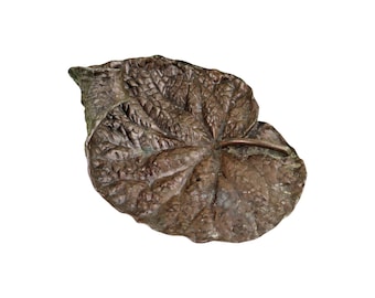 Vintage Vide Poche Bronze Leaf Bio Bio Babiole Florale 32cm