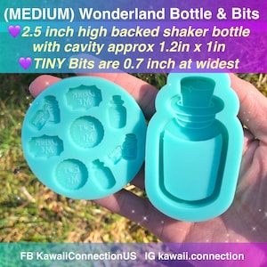 MEDIUM Set 2.5 inch high Wonderland Bottle Shiny Backed Shaker + TINY 0.7 inch Bits Silicone Mold Palette for Resin Craft Keychain Charms