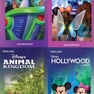 Four Walt Disney World park guidemap brochures featuring Magic Kingdom, Epcot, Animal Kingdom, and Hollywood Studios.