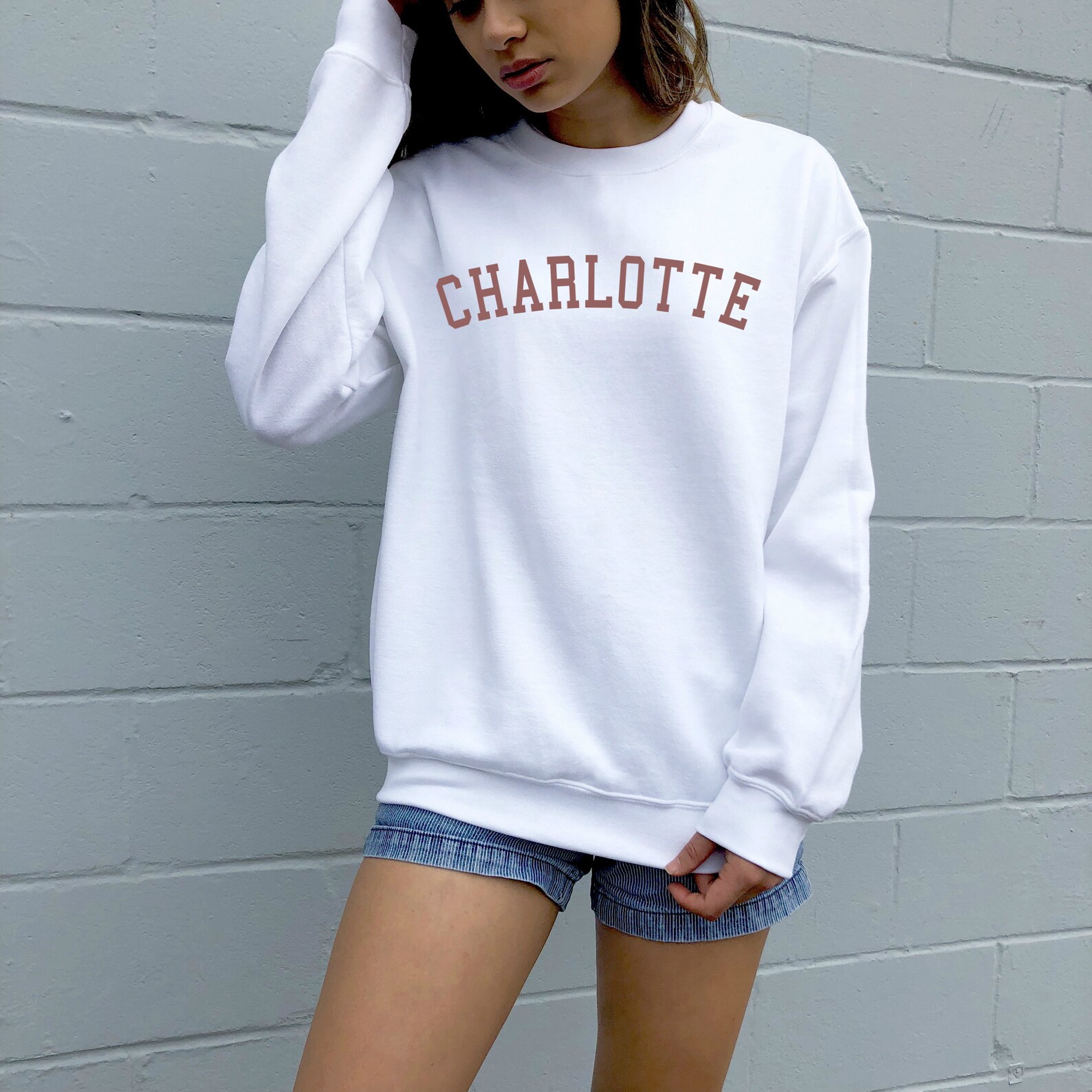 Charlotte Sweatshirt Charlotte Crewneck Sweatshirt charlotte Etsy