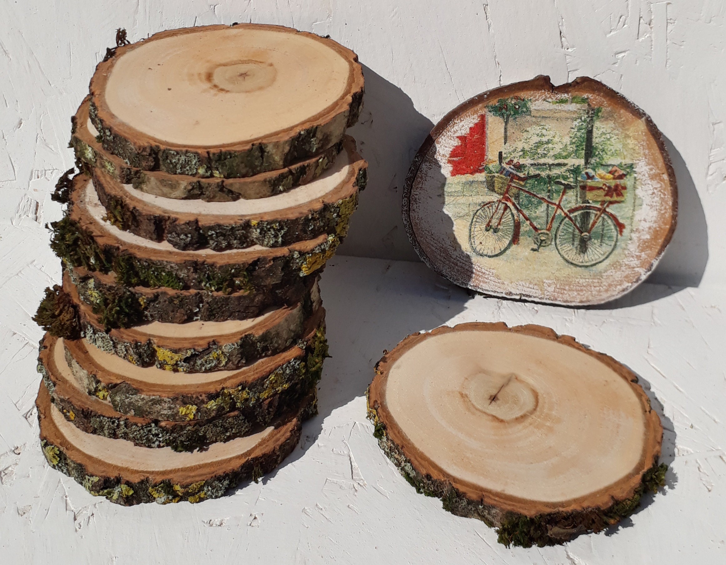 10Pcs Natural Wood Round Unfinished Wood Slices Circles Tree Slice With  Bark For DIY Crafts Wedding Party Arts Painting Home Decoration