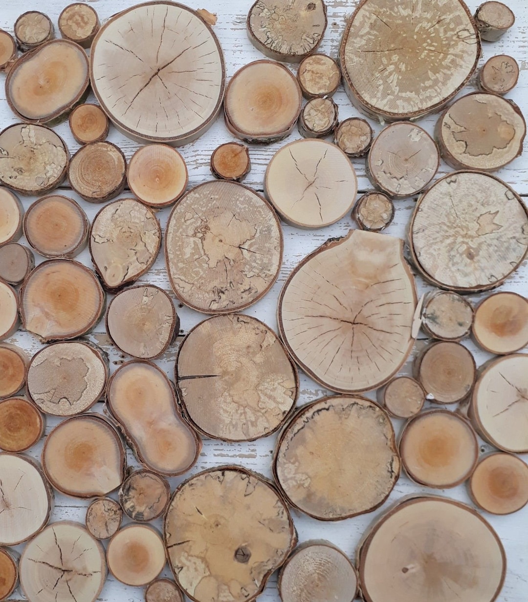 Wooden Slices LOCAL WOOD 1-100pcs 2-20cm Craft Decor Log Coasters