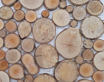 Natural Birch Wood Slices 1-50pcs 2-10cm (0.8-4") Fireplace decoration Rustic Wedding Decor log Wooden discs Pyrography SUSTAINABLE PRODUCT