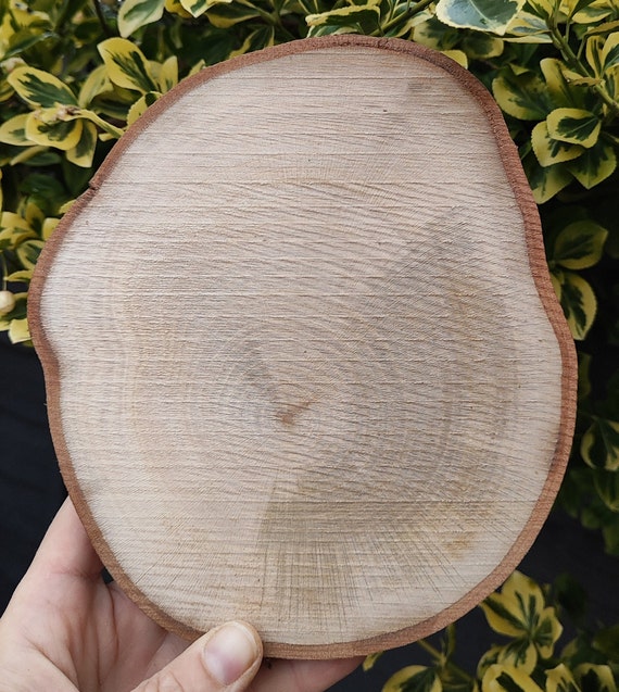 100pcs 3CM Wood Log Slices Discs for DIY Crafts Wedding Centerpieces