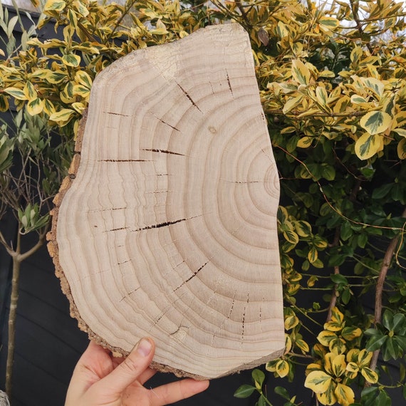 10Pcs Natural Wood Round Unfinished Wood Slices Circles Tree Slice With  Bark For DIY Crafts Wedding Party Arts Painting Home Decoration 