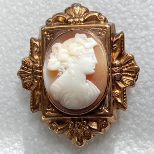 May include: A gold-toned brooch featuring a central oval cameo with a white profile relief of a person against a light brown background. The frame is rectangular with ornate, decorative edges and symmetrical fan-like details on the sides.