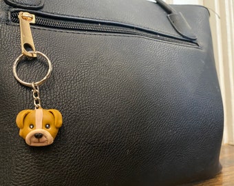 Pet keyring
