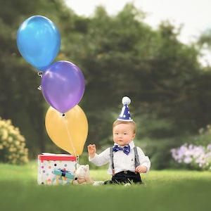 Birthday On The Lawn Digital Backdrop, Beautiful Outdoor Digital backdrop, perfect for Sitter, young child, Pet,  Photography Composites.