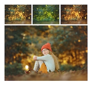 3 Fall/Autumn Digital Backdrop/Background - For Composites - 3JPEG Files