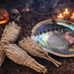 Smudging Gift Three White Sage Torches and One Large 6"+ Abalone Shell